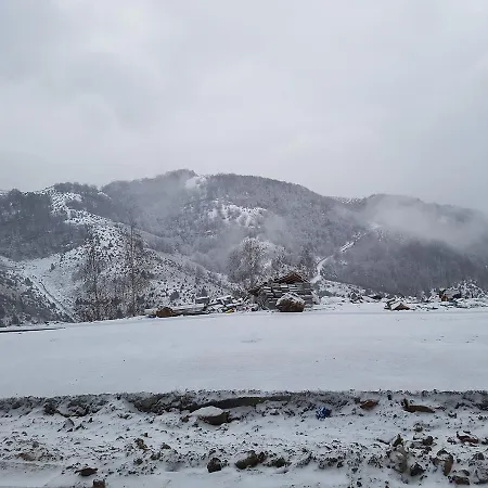 M1 Megi, Milmari